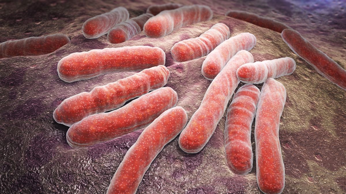 Přibývá případů odolné tuberkulózy